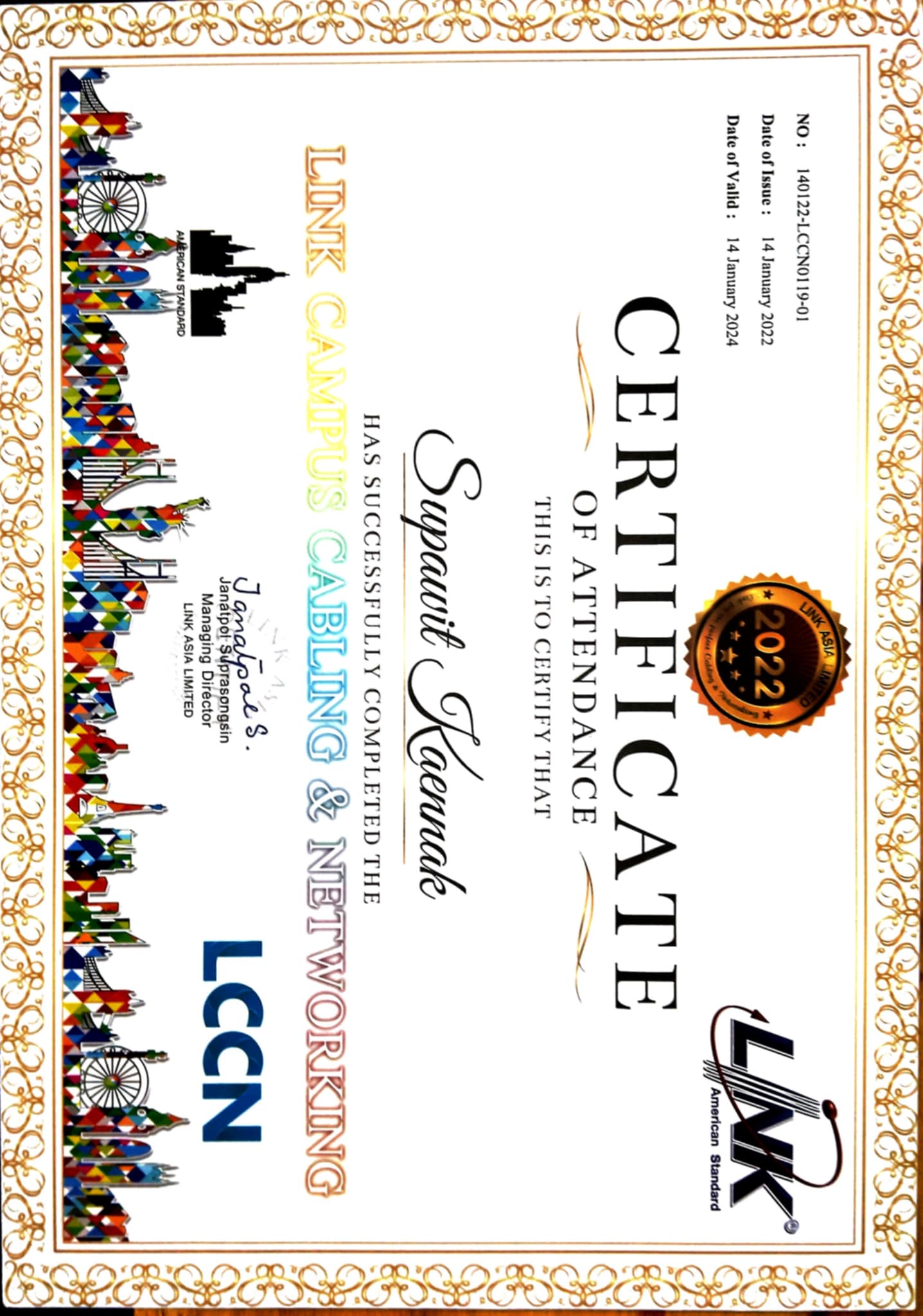 Link Campus Cabling & Networking Certificate